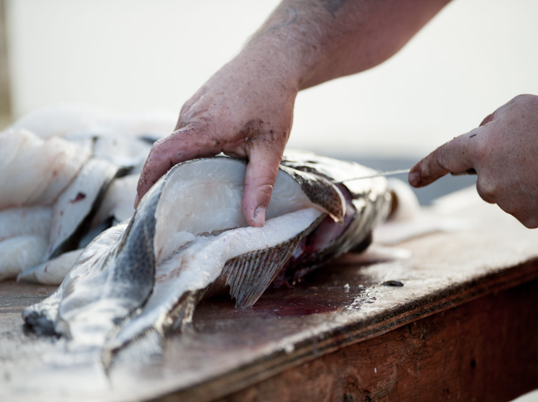 Skærmbillede 2023-06-29 kl. 22.25.51