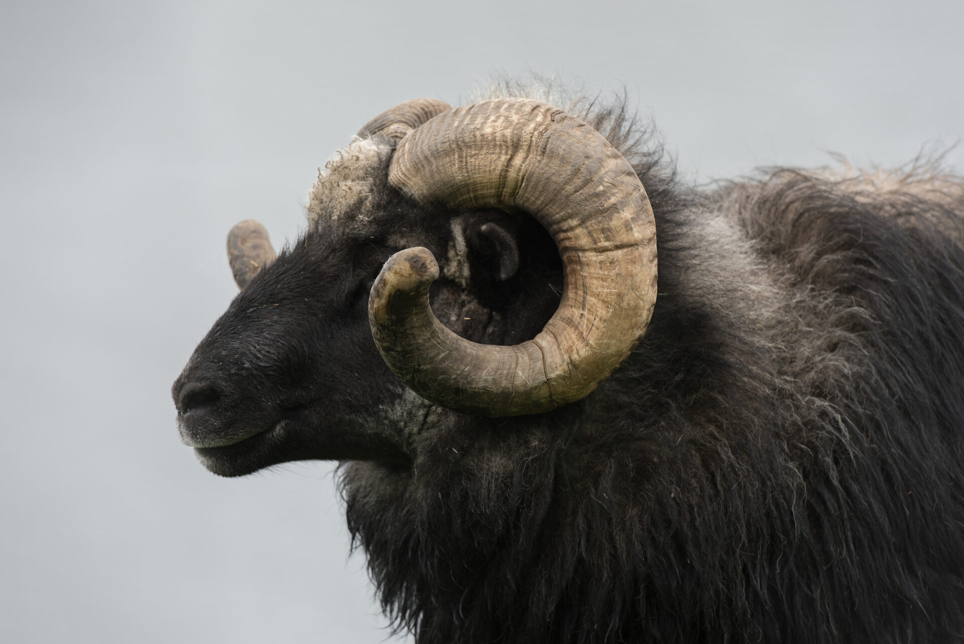 NAX.Fo : VISIT THE SMALLEST INHABITATED ISLAND