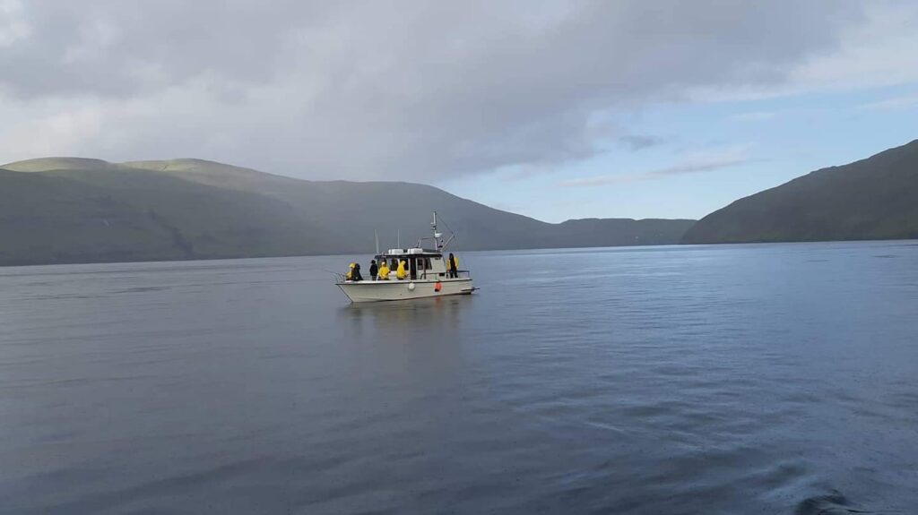 Tórshavn Sea Adventure
