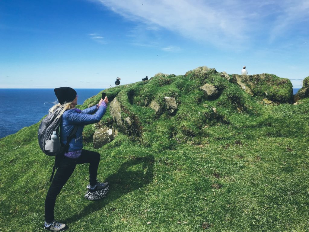 Tora.fo : Mykines – The Puffin Paradise With A Local Guide