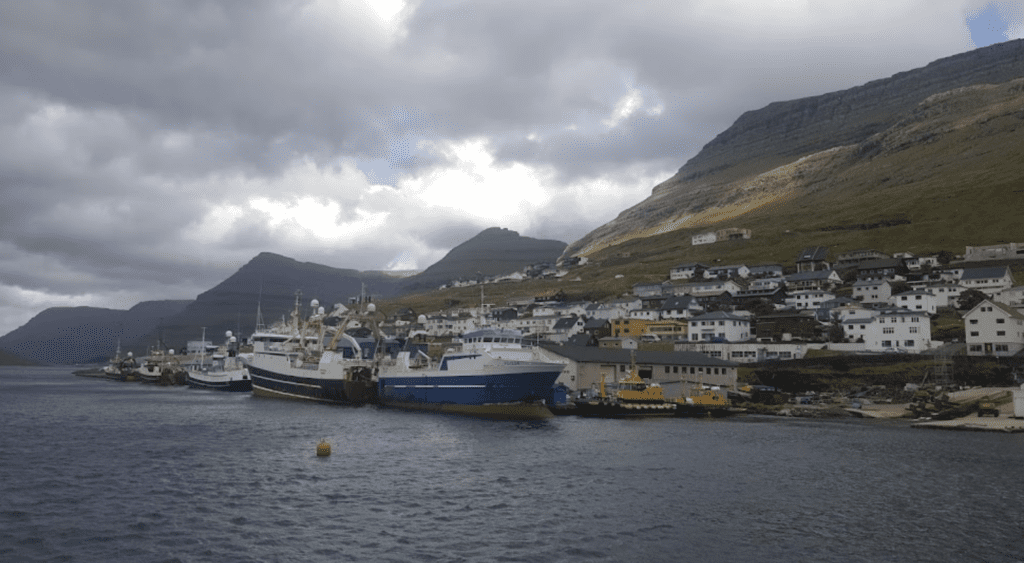 Fishfactory Kósin / JFK