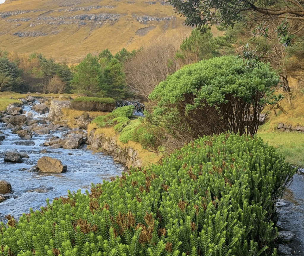 Úti í grøv – Klaksvík